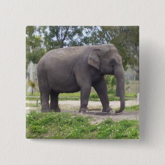 Kein Tusk Elephant Button (Vorderseite)