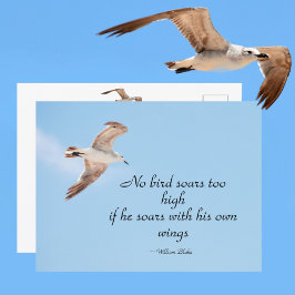 Kein Vogel stöhnt zu hoch im Seagull im Flug Blue Postkarte