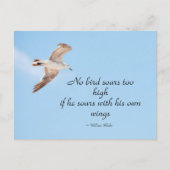 Kein Vogel stöhnt zu hoch im Seagull im Flug Blue Postkarte (Vorderseite)