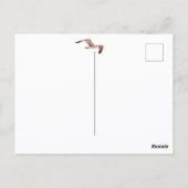 Kein Vogel stöhnt zu hoch im Seagull im Flug Blue Postkarte (Rückseite)