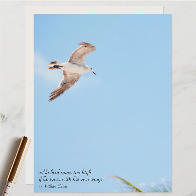 Kein Vogel stürzt zu hoch Seagull Scrapbook Papier (Von Creator hochgeladen)