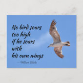Kein Vogel stürzt zu hoch zitierender Seagull im F Postkarte (Vorderseite)