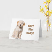 KEIN WEG, DASS SIE NICHT **60** KARTE SEIN KÖNNEN (Gelbe Blume)