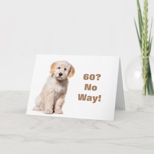 KEIN WEG, DASS SIE NICHT **60** KARTE SEIN KÖNNEN (Vorderseite)