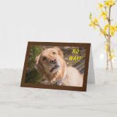 KEIN WEG "SIE" WERDEN MIT **60** KARTE ANGEZEIGT (Gelbe Blume)