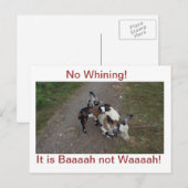 Kein Wink! Postkarte (Vorne/Hinten)