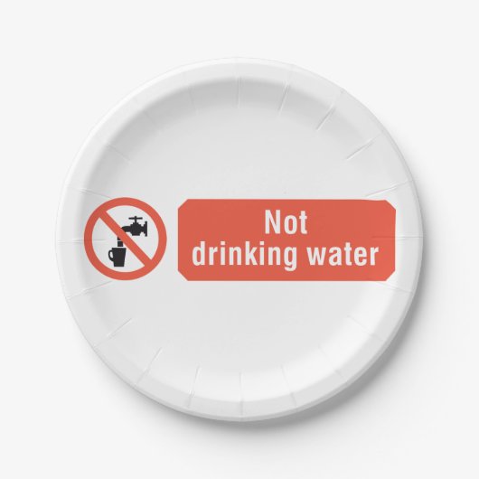 Kein Zeichen für die Trinkwassersicherheit Pappteller (Vorderseite)