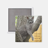 Keine Ahnung, grauer Katzenmagnet. Magnet (Vorderseite/Rückseite)