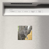 Keine Ahnung, grauer Katzenmagnet. Magnet (In Situ (Geschirrspüler))