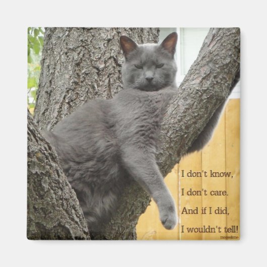 Keine Ahnung, grauer Katzenmagnet. Magnet (Vorne)