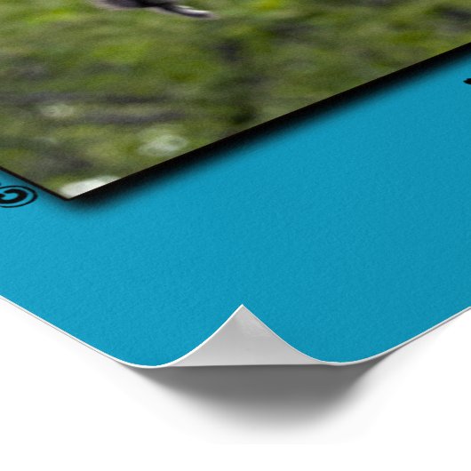 "KEINE ANGST" Holzente Fledging Poster (Ecke)