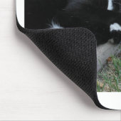 Keine Angst Kitty Epic Motivierend Slogan Foto Mousepad (Ecke)