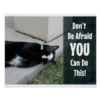 Keine Angst vor Motivierend Cat-Zitat Poster