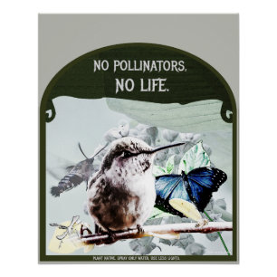 Keine Bestäuber, kein Leben Poster