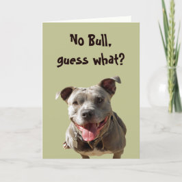 Keine Bull Sehr Best Friend Card Karte