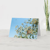 Keine Doctor Card Karte (Vorderseite)