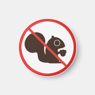 Keine Eichhörnchen Magnet