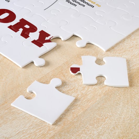 Keine Eingeweide kein Ruhm (Verdauungssystem-Spaß) Puzzle (Seite)