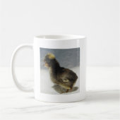 Keine Fotos bitte Kaffeetasse (Links)