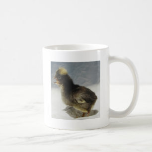 Keine Fotos bitte Kaffeetasse