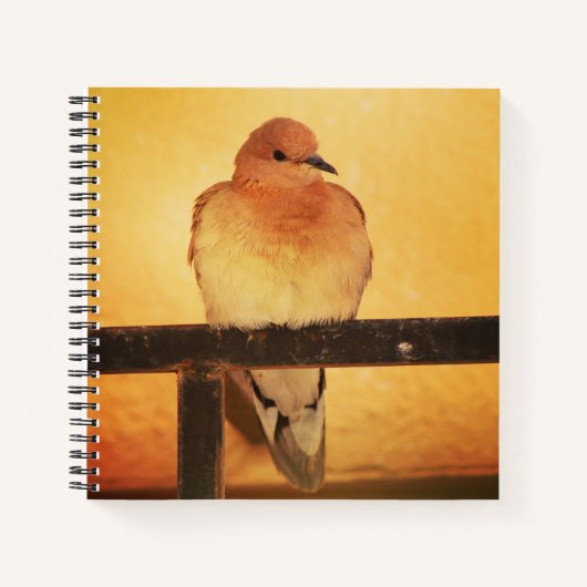 "Keine Fotos, bitte!" Notizblock (Vorderseite)