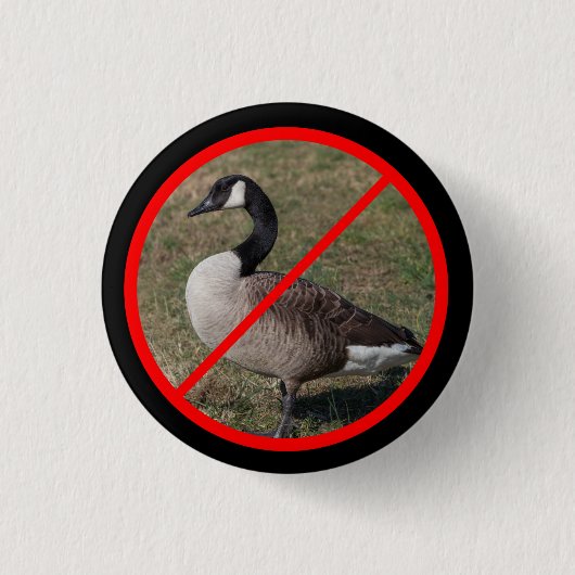 Keine Gänse erlaubt Button (Vorderseite)