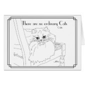 Keine gewöhnlichen Katzen (Vorderseite (Horizontal))