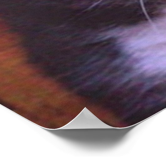 Keine gewöhnlichen Katzen Poster (Ecke)