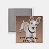 Keine Haltung... RATitude! Magnet (Vorderseite/Rückseite)