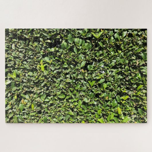 keine Hecke Puzzle (Horizontal)