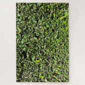 keine Hecke Puzzle (Vertikal)