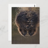 Keine höhere Auflösung verfügbar. Beaver_pho34.jpg Postkarte (Vorne/Hinten)