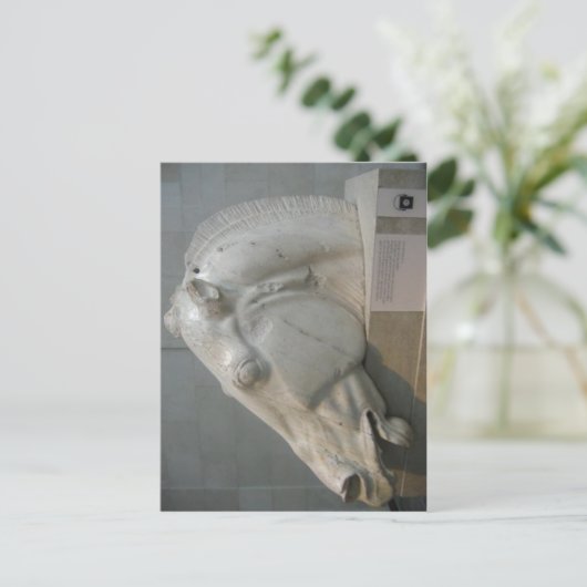 Keine höhere Auflösung verfügbar. Elgin_Marbles_16 Postkarte (Stehend Vorderseite)