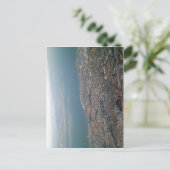 Keine höhere Auflösung verfügbar. Malmo_view2.jpg  Postkarte (Stehend Vorderseite)