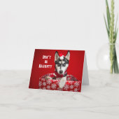 Keine Humbug Weihnachtsgrußkarte Feiertagskarte (Vorderseite)