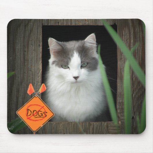 Keine Hunde Zone Kitty Mousepad (Vorne)