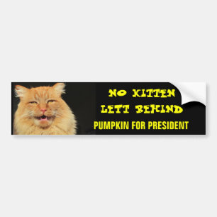 Keine Katze bleibt zurück Kürbis für den Präsident Autoaufkleber