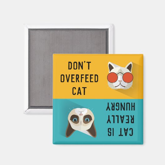 KEINE KATZKATZKATZKATZKATZE ÜBERSCHREITEN KEINE co Magnet (Vorderseite/Rückseite)