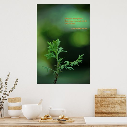 Keine kleinen Pläne Poster (Küche)