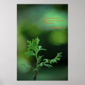 Keine kleinen Pläne Poster (Vorne)