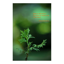 Keine kleinen Pläne