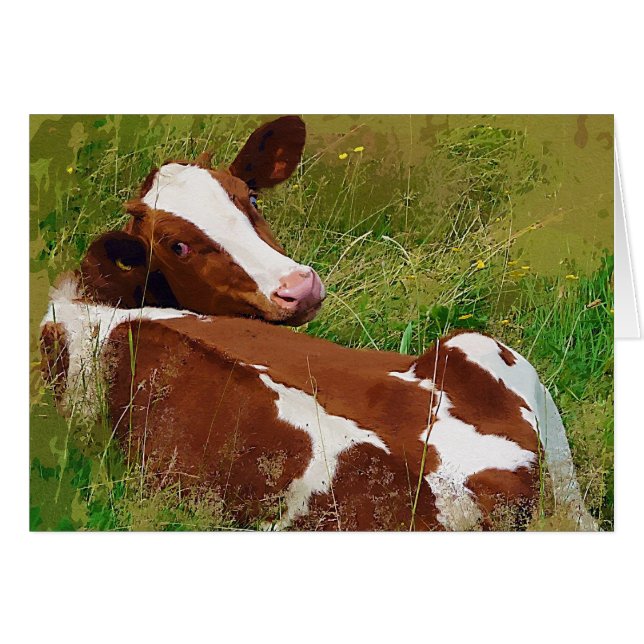 Keine Kuh (Vorderseite (Horizontal))