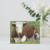 Keine Kuh-Postkarte Postkarte (Stehend Vorderseite)