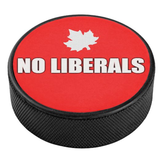 KEINE LIBERALEN EISHOCKEY PUCK (3/4)