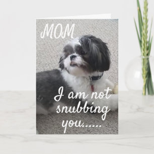 **KEINE MAMA, SONDERN WÜNSCHEN UNS GEBURTSTAG" KARTE