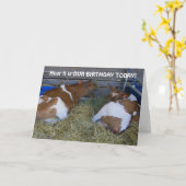 KEINE MOO-A-COUP-TEILENDEN GEBURTstage Karte (Gelbe Blume)