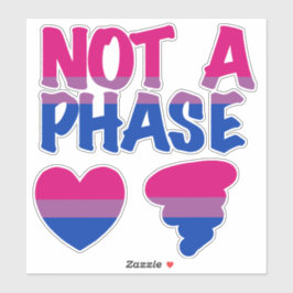 Keine Phase Bisexuell Aufkleber