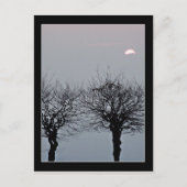 Keine Postkarte (Vorderseite)