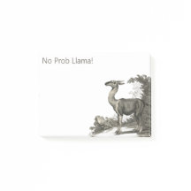 Keine Probleme Lama Vintage Guanaco Illustration