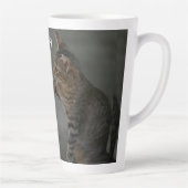 Keine Sorge, ich Got dich, zwei Niedliche Katzen. Milchtasse (Rechts)